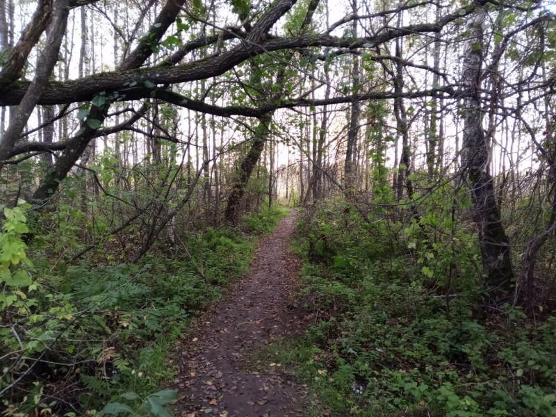 Болотный переулок